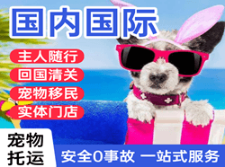 南京禄口空运国际宠物托运 【国